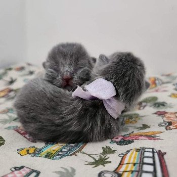 Naissance ❤️❤️❤️ 11 mai 2024