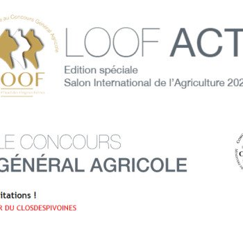 Salon de l'agriculture 2025